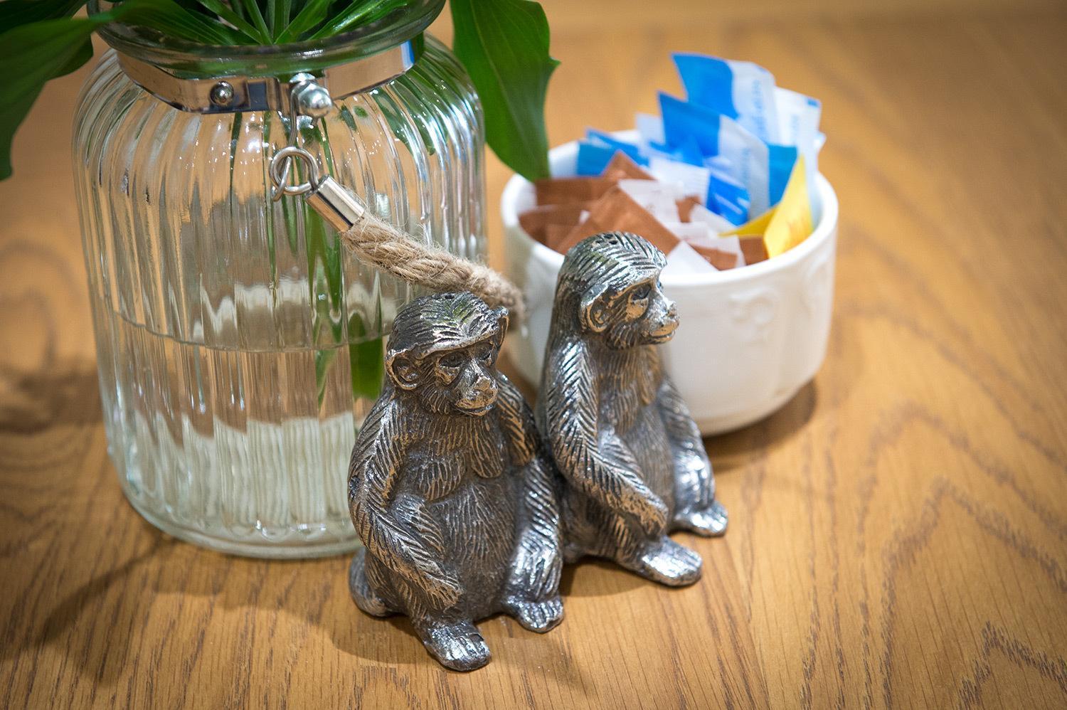 Darwin'S Townhouse Bed and Breakfast Shrewsbury Exteriör bild Silver monkey salt and pepper shakers