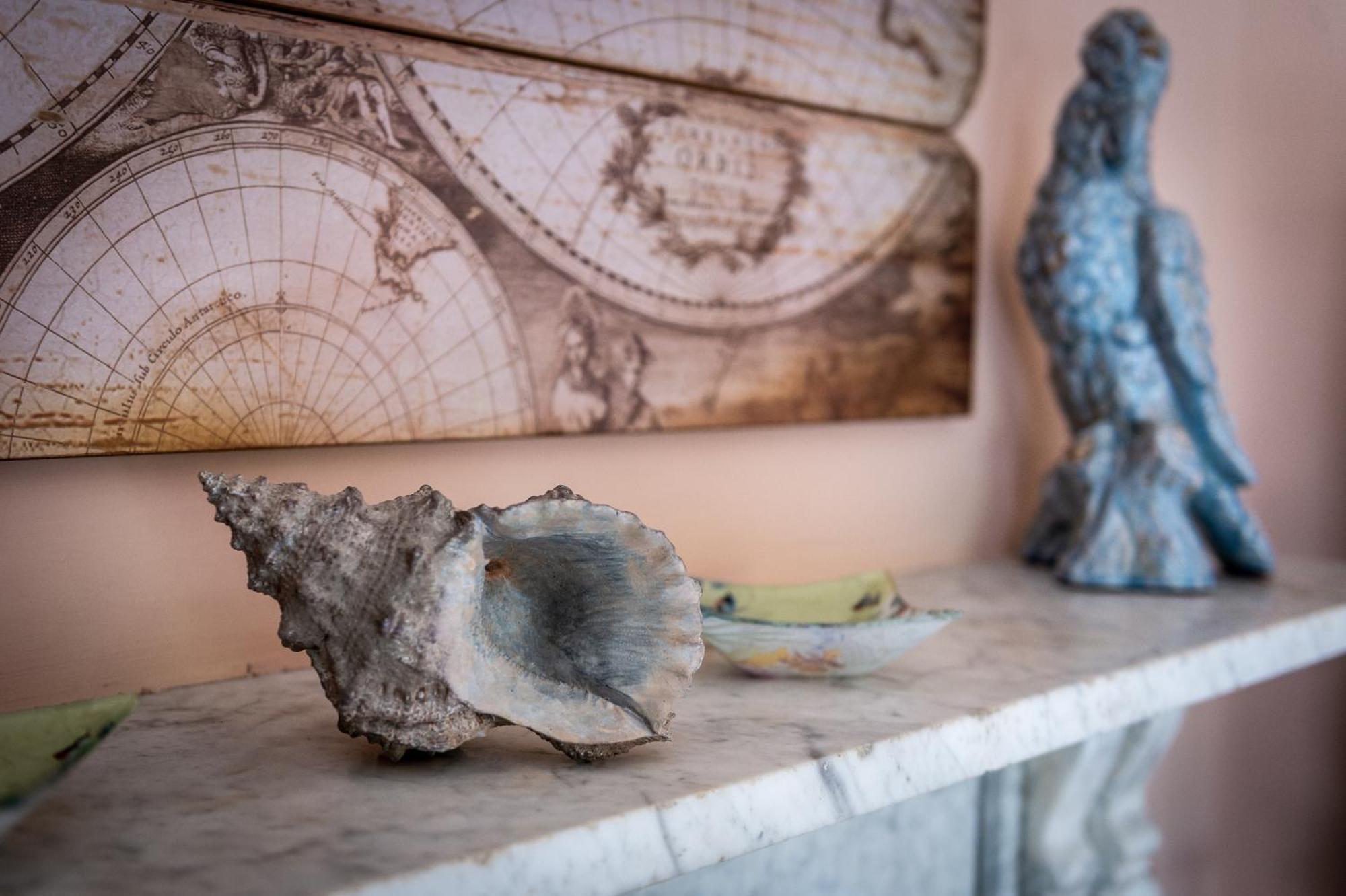 Darwin'S Townhouse Bed and Breakfast Shrewsbury Rum bild A conch shell